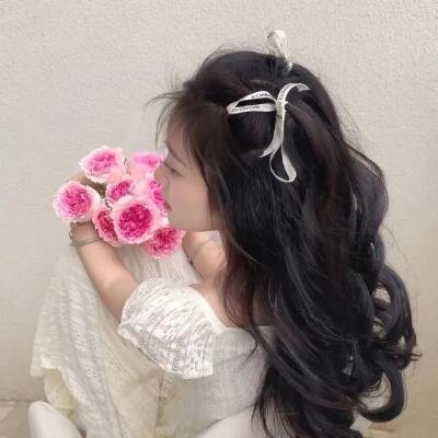 银狐传说 海报